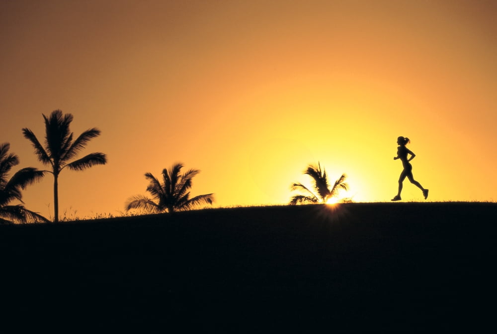 Woman In Distance Silhouetted Running At Sunset Palm Trees Canvas Art - Dana Edmunds Design Pics (38 x 24)
