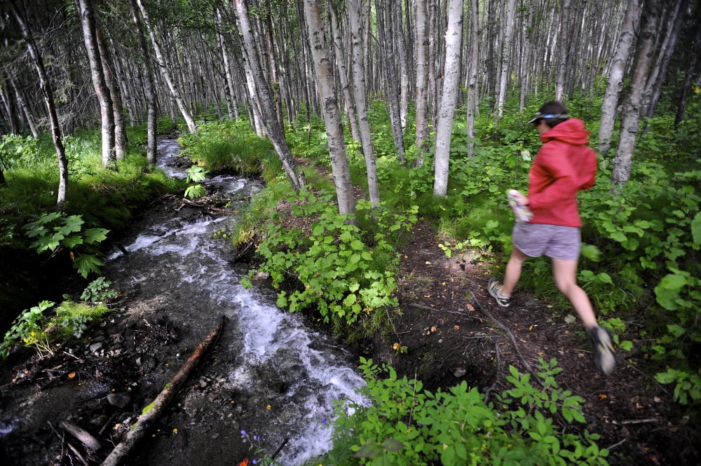 Woman Jogging Through A Birch Forest Alongside A Small Stream Alaska Canvas Art - Matt Hage Design Pics (34 x 22)