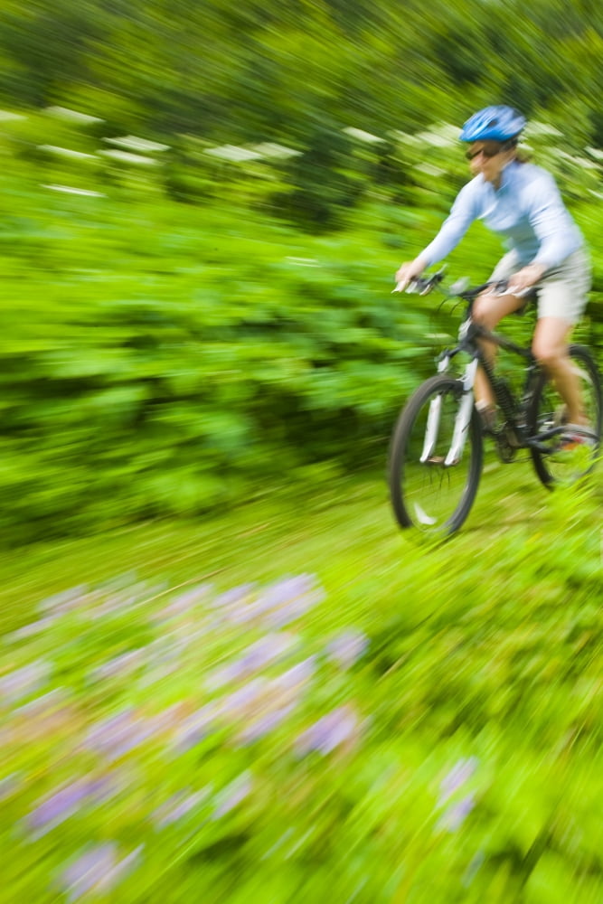 Woman Mountain Biking On Mint Glacier Trail In The Hatcher Pass Area Talkeetna Mountains Southcentral Alaska Summer Canvas Art - Michael DeYoung Design Pics (22 x 34)