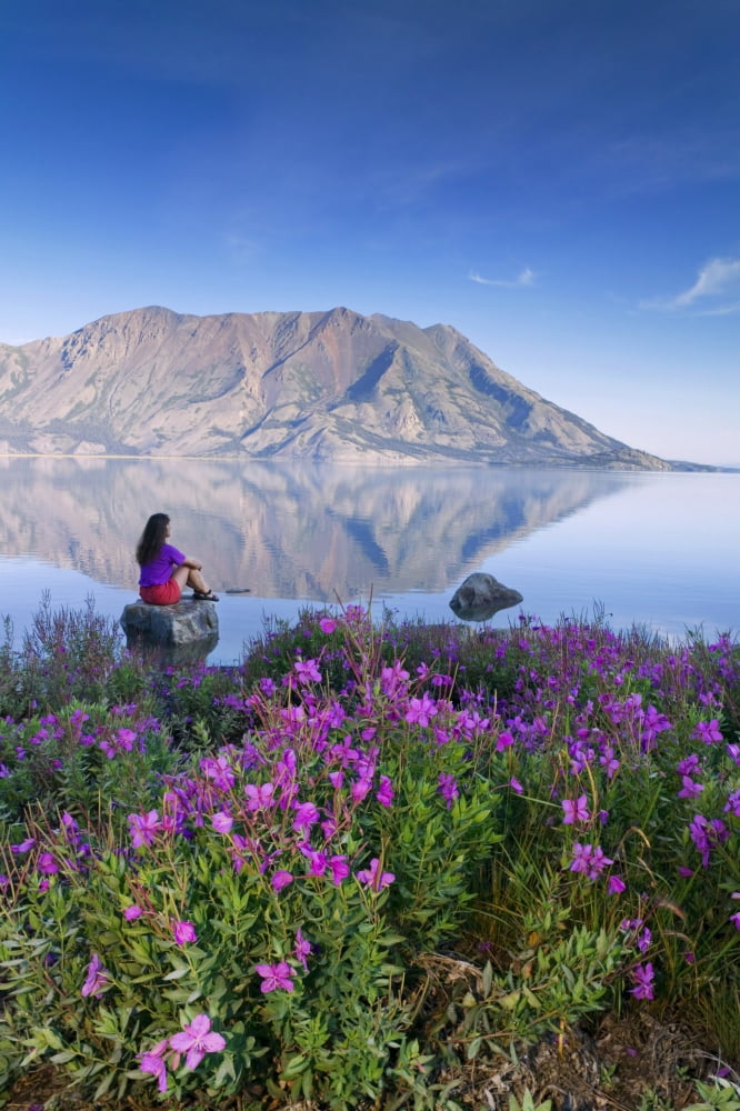 Woman Sitting On Rock Views Kluane Lake & Sheep Mtn Kluane National Park Yukon Territory Canada Summer Canvas Art - Michael DeYoung Design Pics (11 x 17)