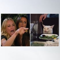 Woman Yelling A Cat Poster Wall Art, Modern Wall Decor For Living Room Bedroom, 8x12 UNFRAMED