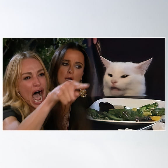 Woman Yelling At A Cat Poster Wall Art, Modern Wall Decor For Living Room Bedroom, 24x36 UNFRAMED