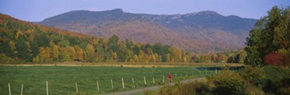 Woman cycling on a road Stowe Vermont USA Canvas Art - Panoramic Images (18 x 6)