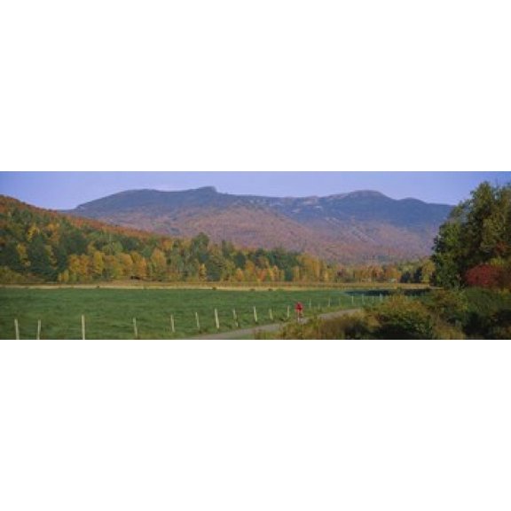 Woman cycling on a road Stowe Vermont USA Canvas Art - Panoramic Images (18 x 6)