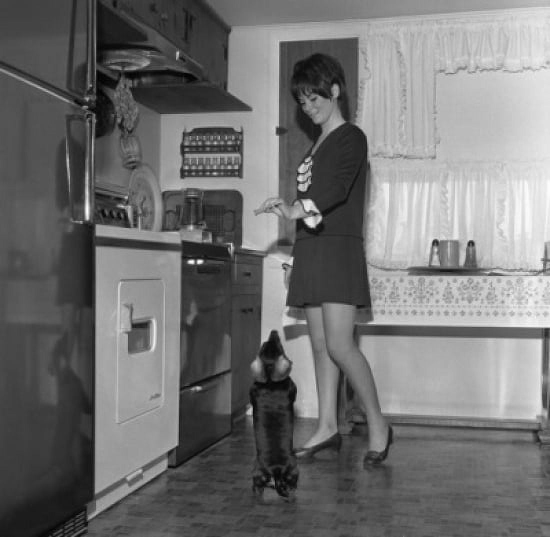 Woman giving snack to dog in kitchen Canvas Art - (18 x 24)