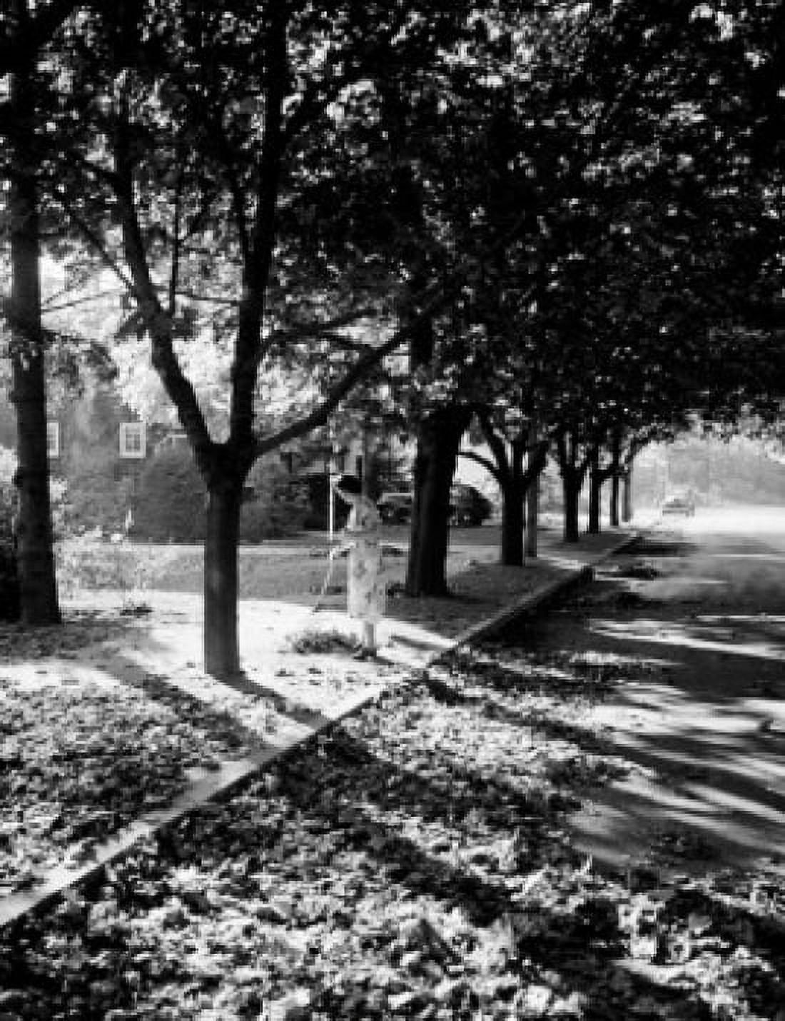 Woman raking leaves Canvas Art - (24 x 36)
