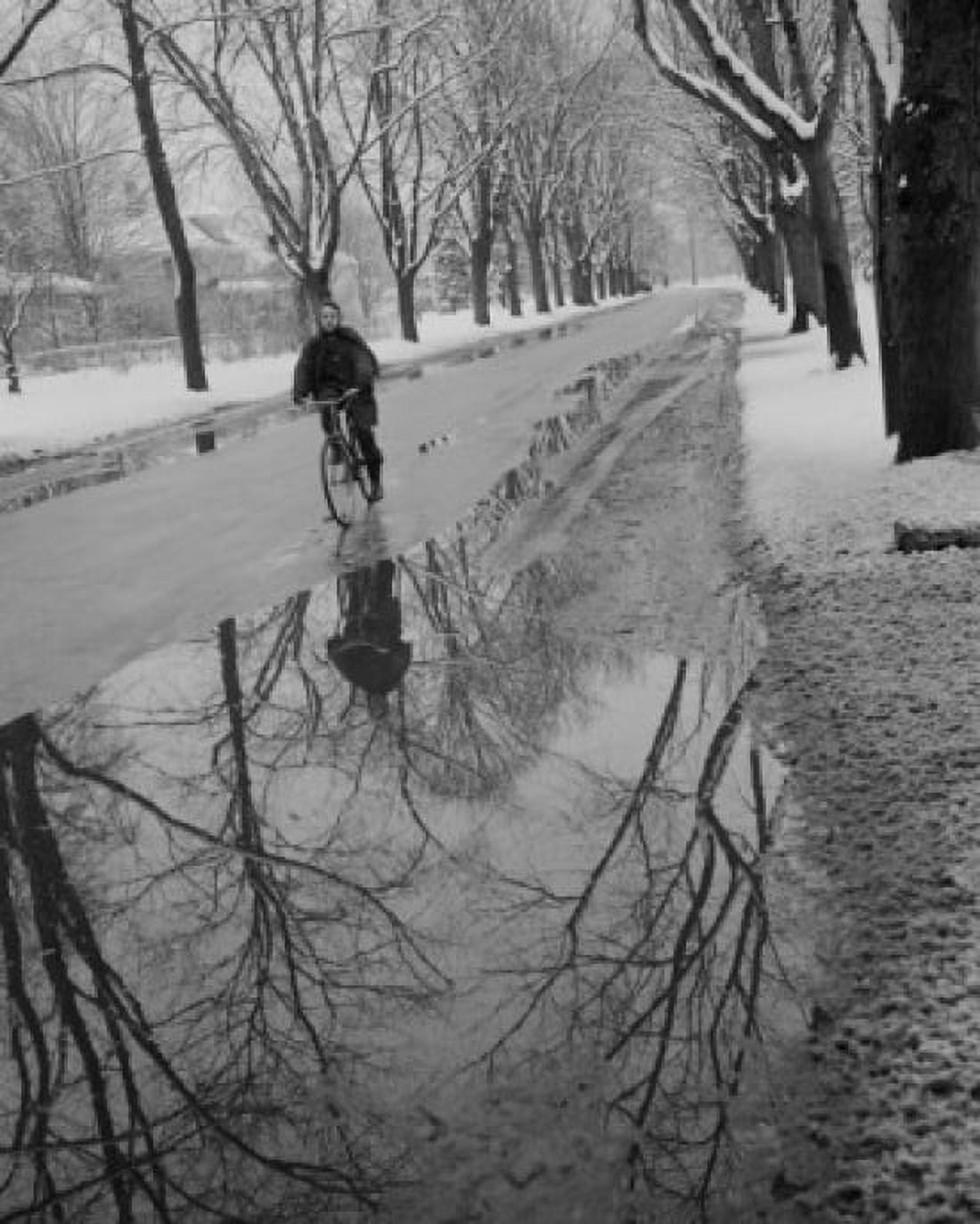Woman riding bicycle past puddle Canvas Art - (18 x 24)
