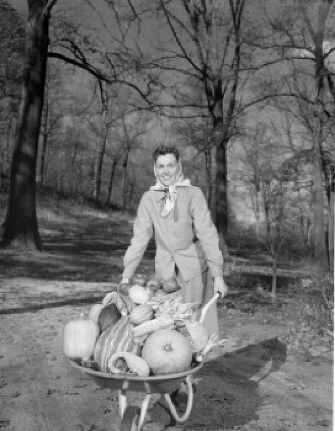 Woman with pumpkins on wheelbarrow Canvas Art - (18 x 24)