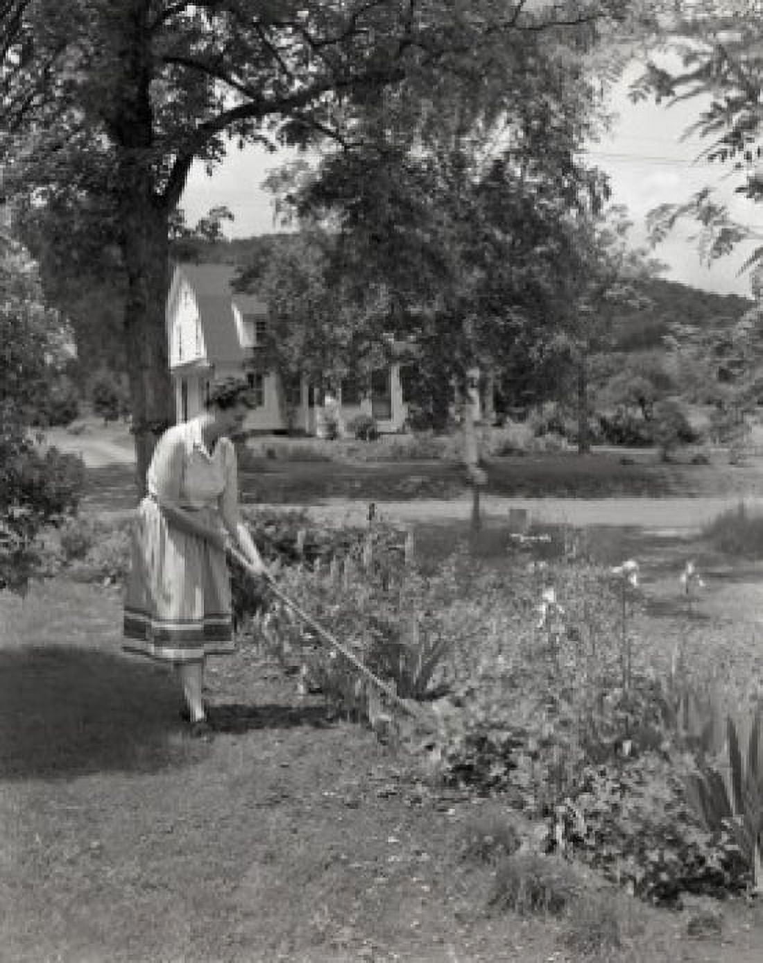 Woman working in garden Canvas Art - (18 x 24)