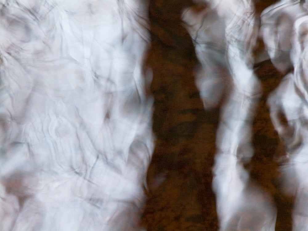 Womans Portal Massachusetts Seekonk Caratunk Wildlife Refuge Abstract Reflections On Water Canvas Art - Joanne Baldaia Design Pics (32 x 24)