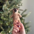 thumbnail image 1 of Wombat Finger Puppet, 1 of 2