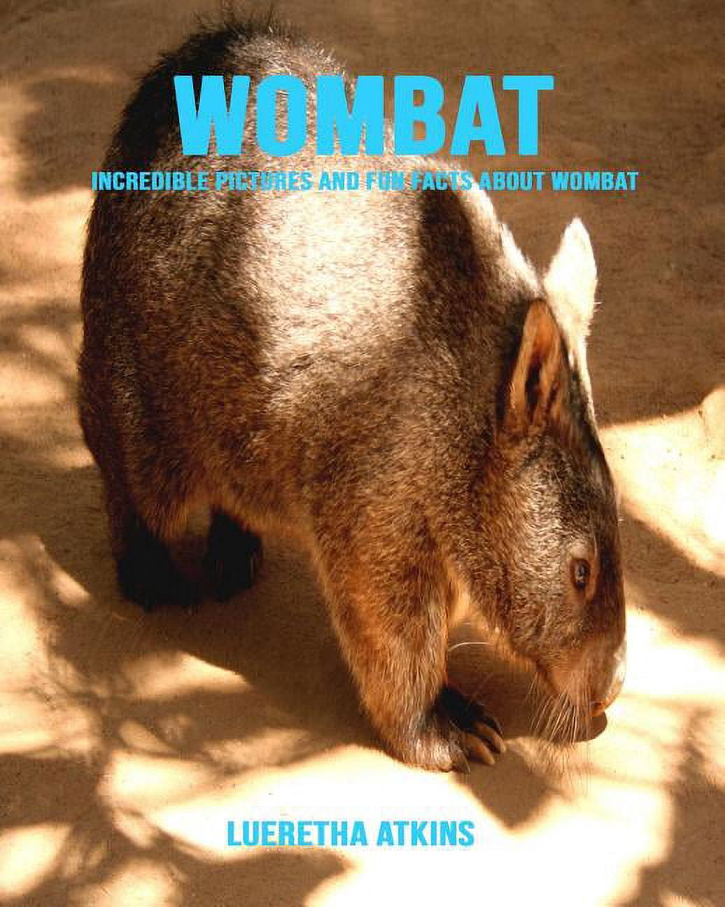 Wombat: Incredible Pictures and Fun Facts about Wombat