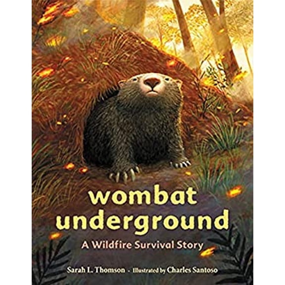Pre-Owned Wombat Underground: A Wildfire Survival Story (Hardcover) 0316707066 9780316707060
