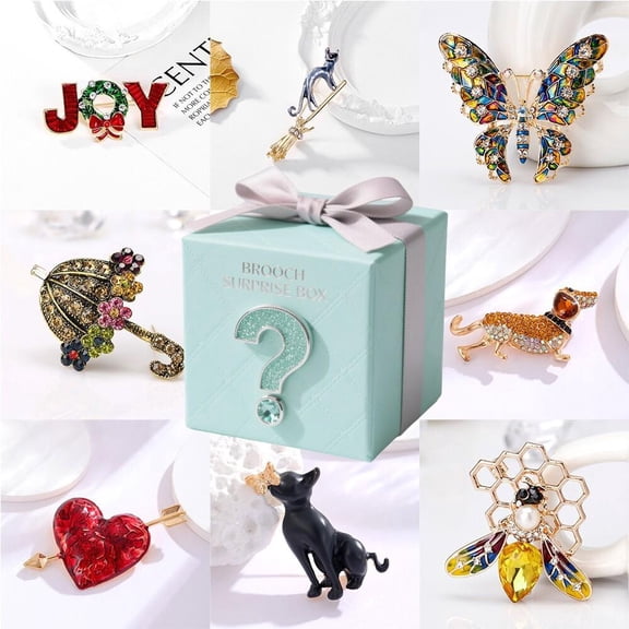 Women Alloy Brooch Surprise Blind Box 8 Random Mystery Styles