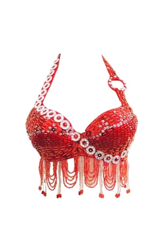 Women Belly Dance Costume Bra Top Eastern Dance Sequined Beaded Fringe Dance Top