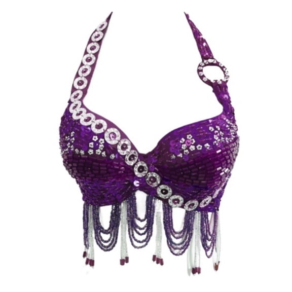 Women Belly Dance Costume Bra Top Eastern Dance Sequined Beaded Fringe Dance Top
