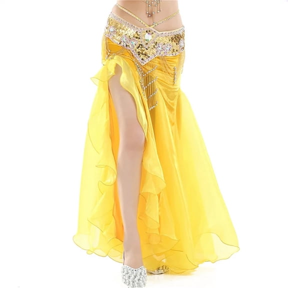 Women Belly Dance Performance Skirt Split Long Chiffon Skirt Low Waist Swing Dance Wear Carnival Party Dancing Clothing