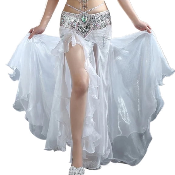 Women Belly Dance Performance Skirt Split Long Chiffon Skirt Low Waist Swing Dance Wear Carnival Party Dancing Clothing