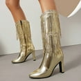 thumbnail image 1 of Women Boots Mid-Calf Fringe Boot Stiletto Pointed Toe Cowboy Boot with Side Zipper (Gold 44), 1 of 5