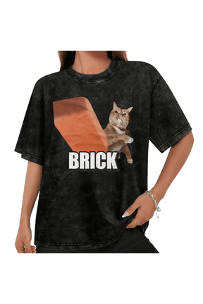 Women Brick Cat Funny Meme Graphic Tees T Shirt Tops Round Neck Washed Cotton T Shirt Black S-2XL Plus Size