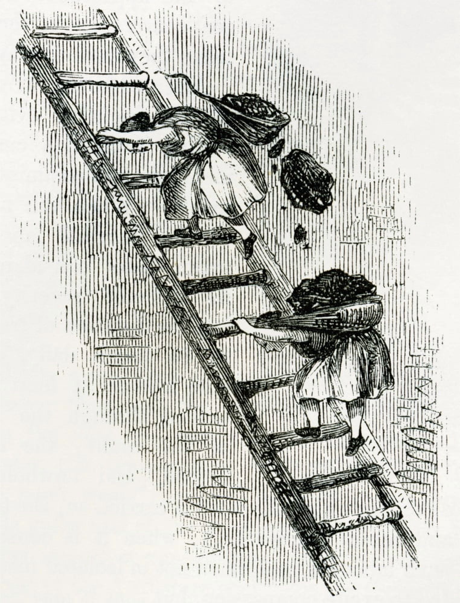 Women Carrying Coal To Surface In East Scotland Mines In The 19Th Century From Cyclopaedia Of Useful Arts And Manufactures By Charles Tomlinson Canvas Art - Ken Welsh Design Pics (24 x 32)