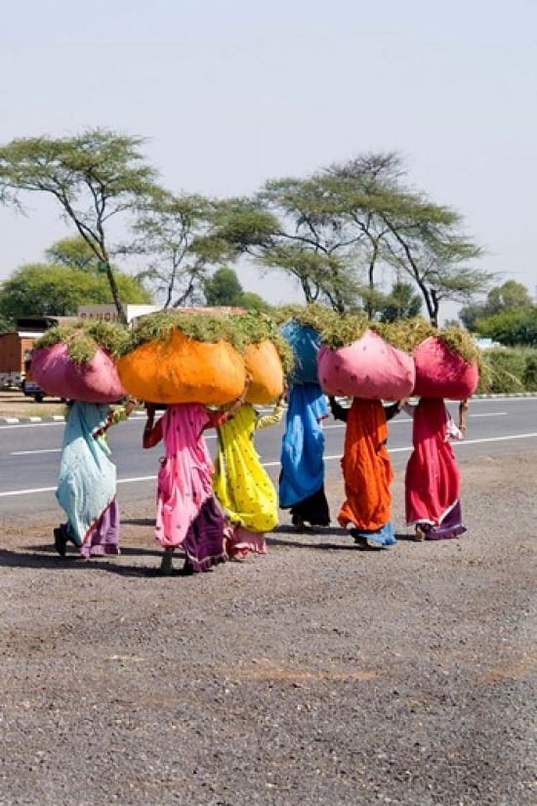 Women Carrying Loads on Road to Jodhpur Rajasthan India Canvas Art - Bill Bachmann DanitaDelimont (18 x 24)