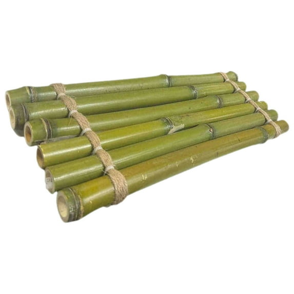 WEUVEB Aquarium Landscape Ornament Green Bamboo 1Pack