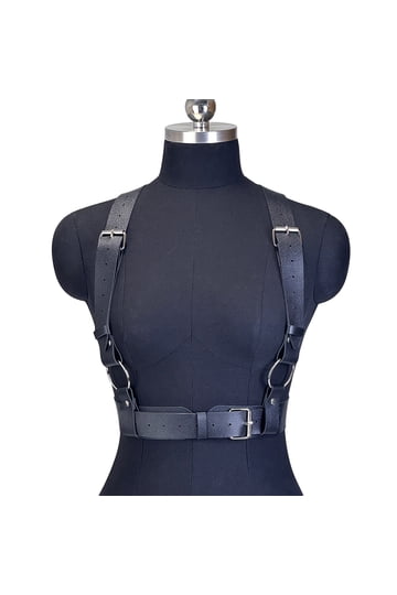 Gothic Harness display picture 2