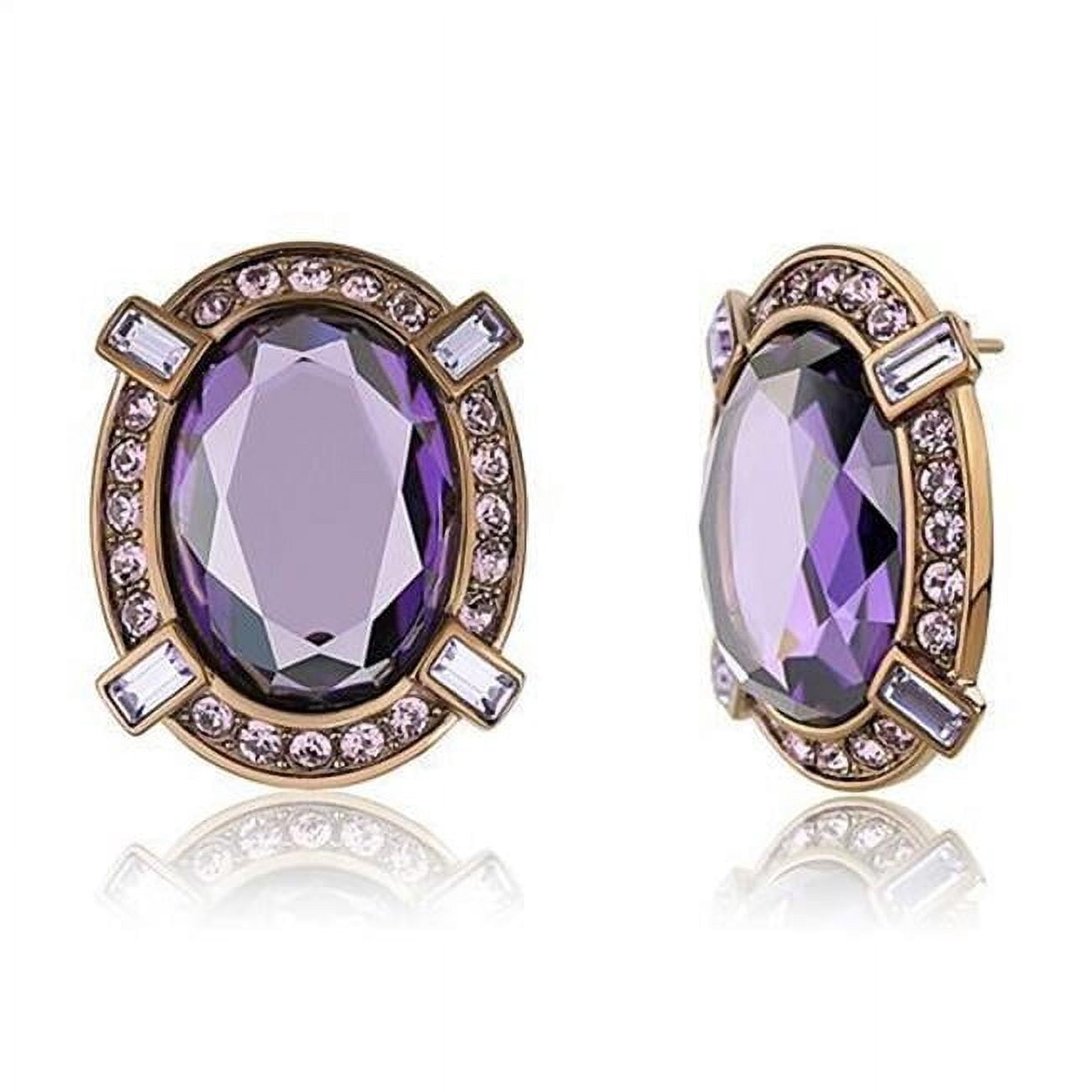 Women IP Coffee Light Stainless Steel Earrings with AAA Grade CZ in Amethyst
