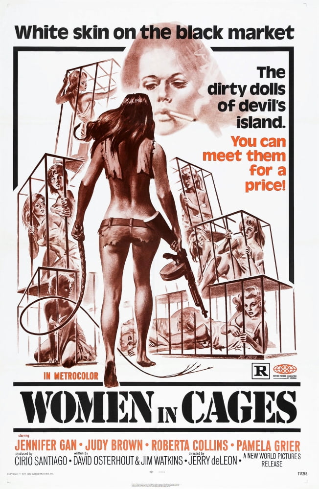 Women In Cages U Canvas Art -  (24 x 36)