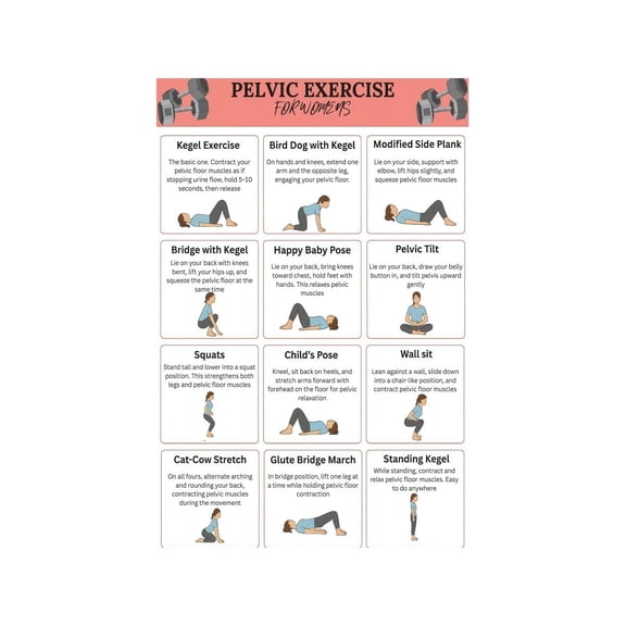Women Pelvic Floor Exercise Chart Poster Pelvic Muscle Health Bladder Control Postpartum Recovery Workout Guide Canvas Wall Art
