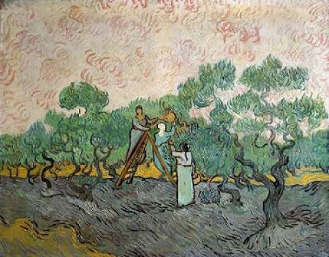 Women Picking Olives Canvas Art - Vincent Van Gogh (22 x 28)