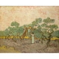 thumbnail image 1 of Women Picking Olives Fine Art (36 x 24), 1 of 1