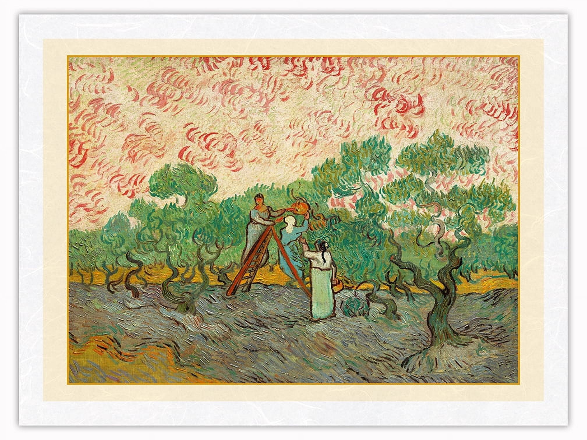 Women Picking Olives - From an Original Color Painting by Vincent Van ...