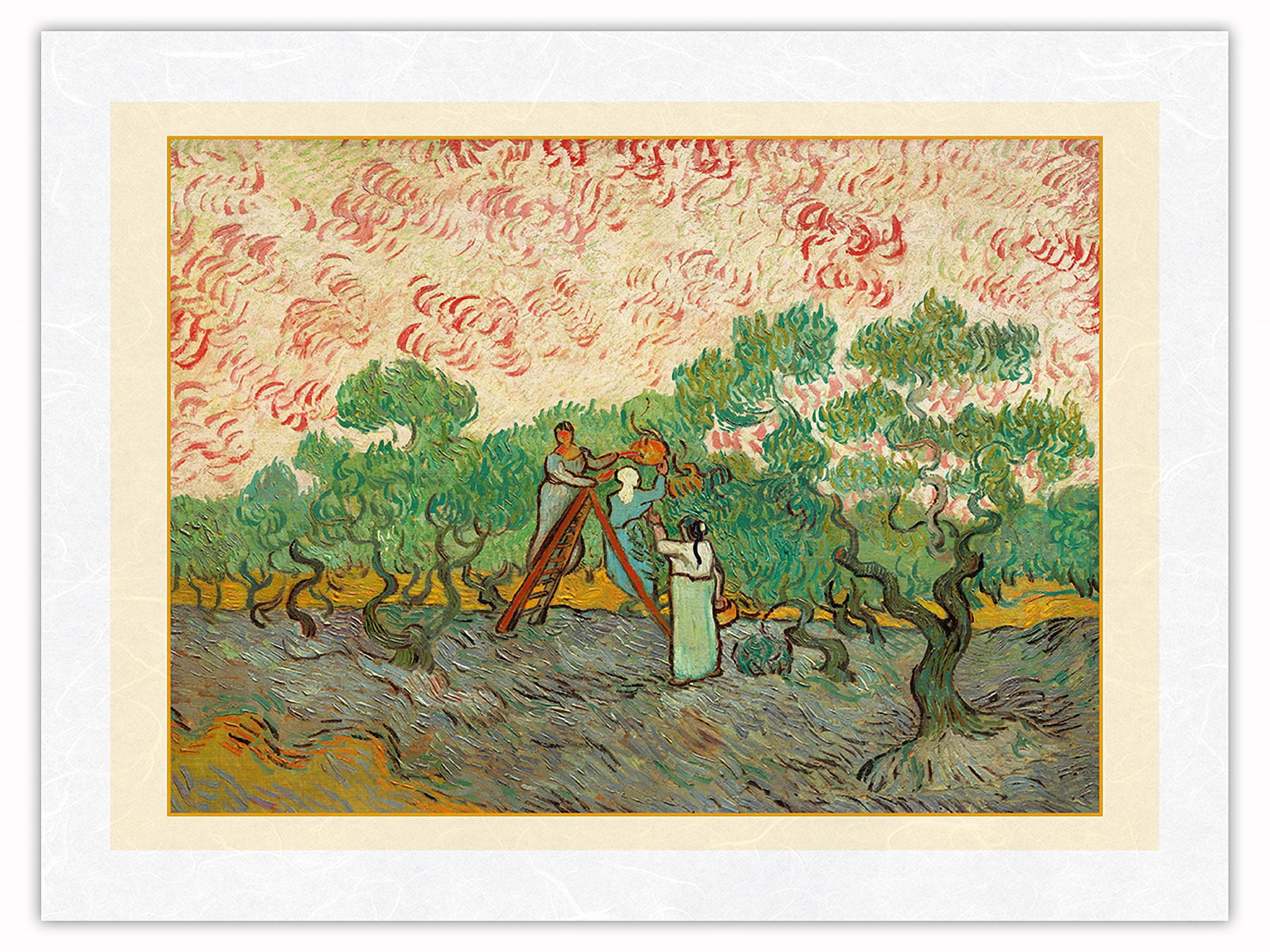 Women Picking Olives - From an Original Color Painting by Vincent Van ...