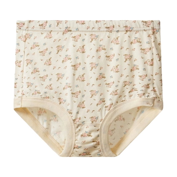 Women Plus Size Underwear High Waist Briefs Full Coverage Panty for Medium Elderly Ladies Comfortable Print Panties