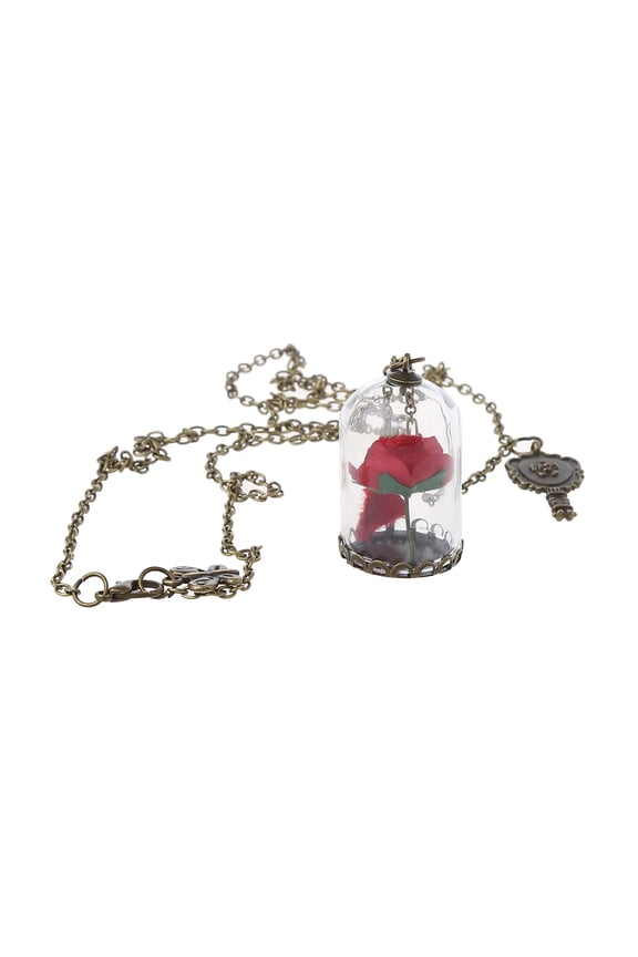 Women Romantic Dried Flowers Glass Bronze Long Chain Beauty and Beast Necklaces