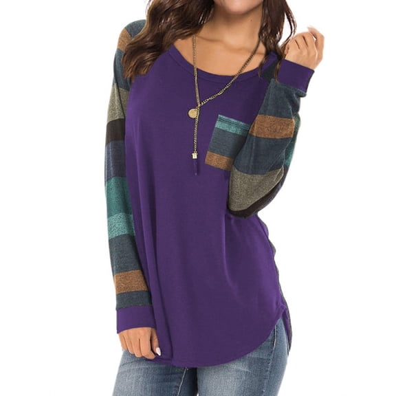 Women Round Neck Long Sleeves Color Block Tunic Shirt