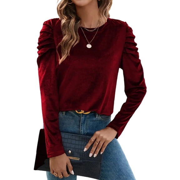 Women'S Puff Long Sleeve Crew Neck Velvet Party Blouse Tops Wine Red L