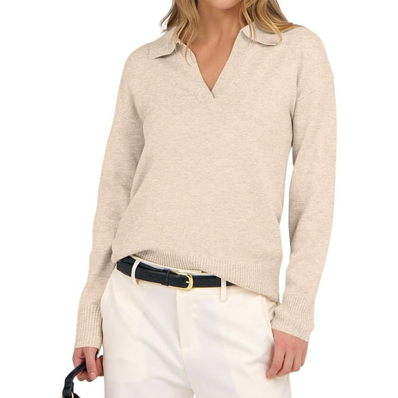 Women'S V Neck Long Sleeve Sweaters Dressy Casual Business Basic Knit Pullover Top Color L