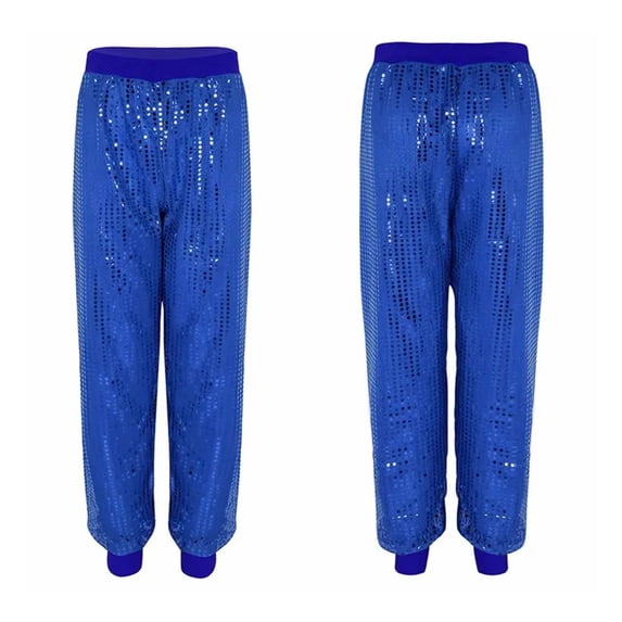 Women Sequins Loose Fit Harem Dance Pants Jazz Hip Hop Belly Dance Stage Performance Costume Night Club Trousers