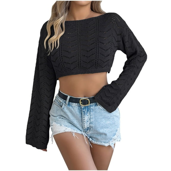 Women Solid Color Knitted Hollow Out Long Sleeve Round Neck Pullover Top Spring 2025