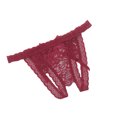 thumbnail image 1 of Women Underwear Brief Lace Perspective Sensuality Crotchless Hollow Underpant, 1 of 3