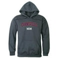 thumbnail image 1 of Women University of Evansville Purple Aces Mom Hoodie, Heather Charcoal - Large, 1 of 1