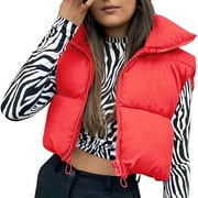 ALASELEGANTES Women Winter Cropped Vest Lightweight Stand Collar Sleeveless Warm Outerwear Puffer Vest Padded Gilet