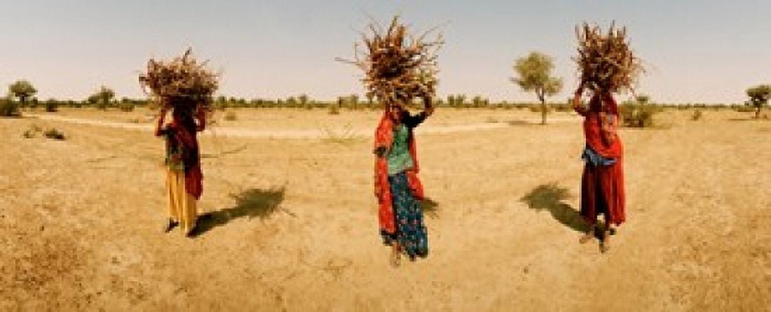 Women carrying firewood on their heads India Canvas Art - Panoramic Images (30 x 12)