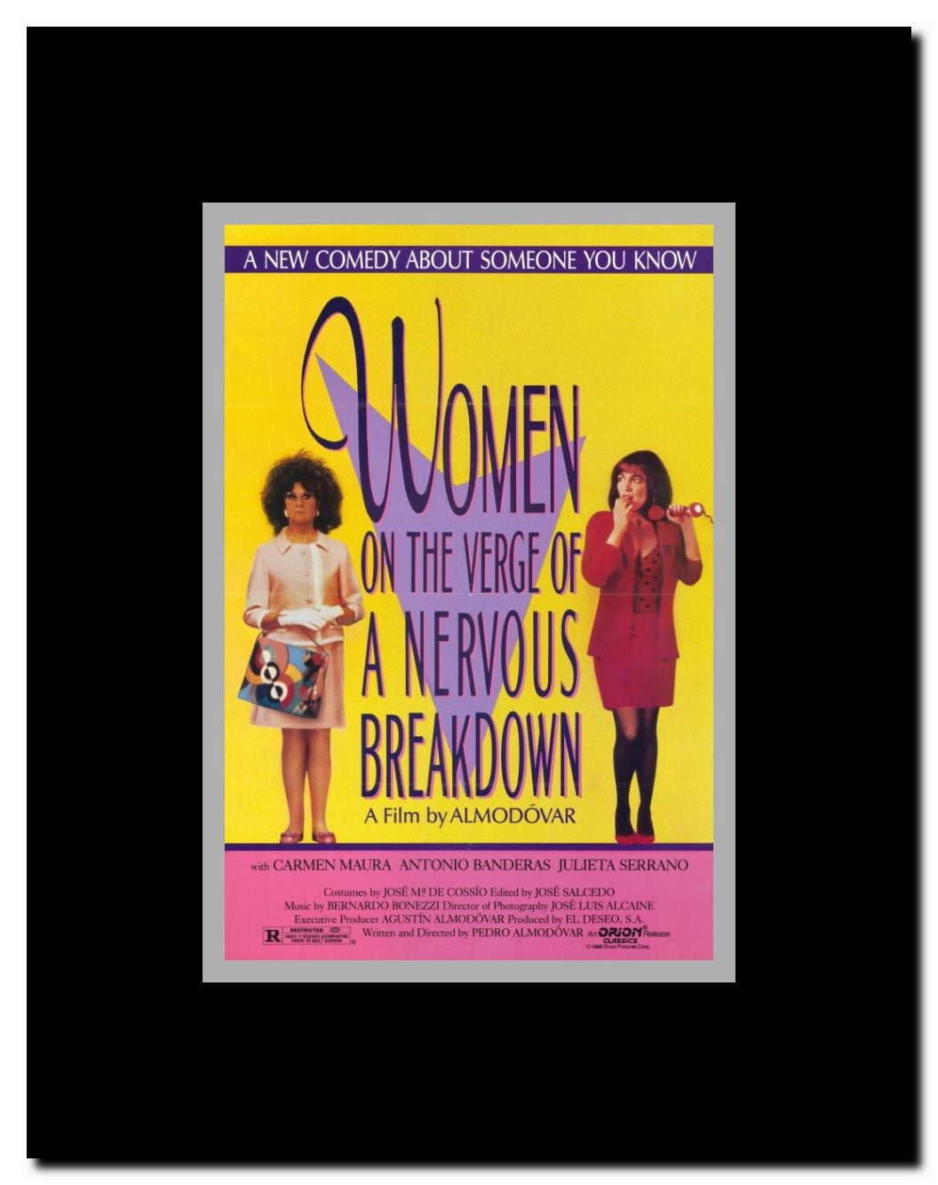 Women on the Verge of a Nervous Breakdown Framed Movie Poster