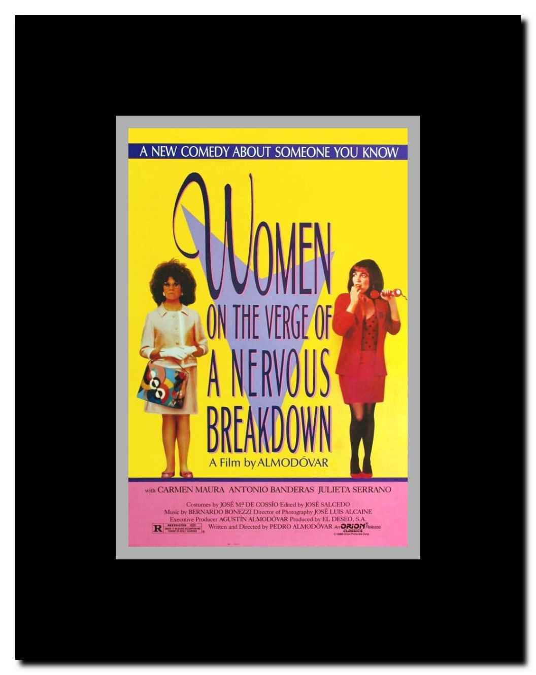 Women on the Verge of a Nervous Breakdown Framed Movie Poster