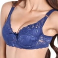 thumbnail image 1 of Women's 3/4 Cup Coverage Lace Bra Underwire Support Push Up Bra, 1 of 6