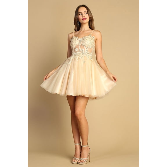 Women's Adora Design 1039 Short A-line Applique Corset Homecoming Party Dress Silver Size L